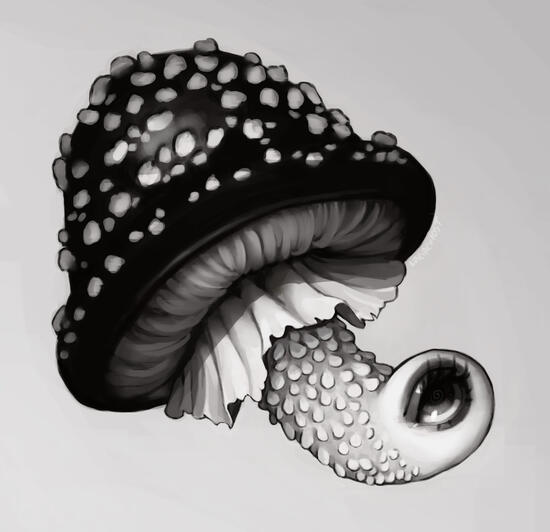 &#39;eye see shroom&#39;